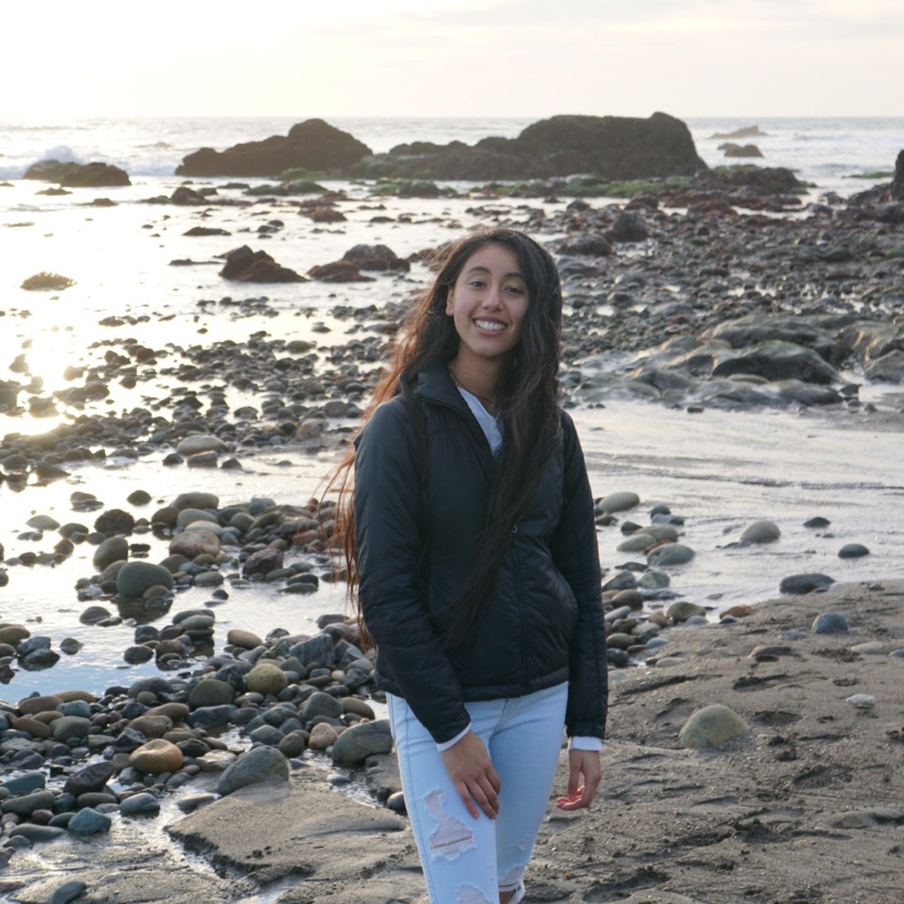 Meet your Posher, Yareli